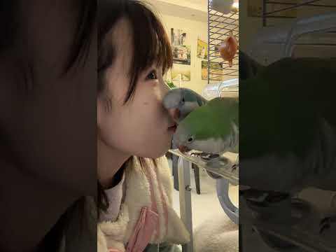 #cute bird