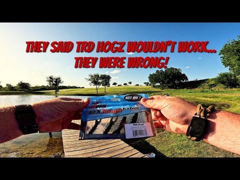 Testing Z-MAN'S TRD Hogz - Pond Bass Approved!