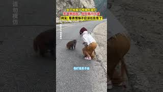 女生给猴子喂吃的反被打，生气骂了回去！#猴子 #搞笑 #野生动物 #注意安全