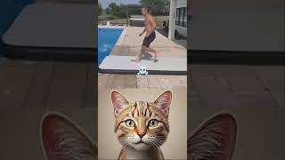 Now you want survive 🤣 #funnycat #cat #meow #viralcat  #petsoftiktok #funnyreels #tiktok #trending