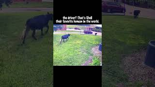 最高の歓迎委員会!!🐮🐶🐮