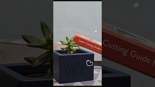 植物盆栽大改造🪴！時尚時裝秀正式登場🌿＃療癒小短片 #植物擬人化 #定格動畫 #奇蹟變身＃植物的新家＃Plantform