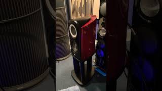 I Am Shocked By This Japanese Loudspeaker #loudspeaker #music #highendaudio