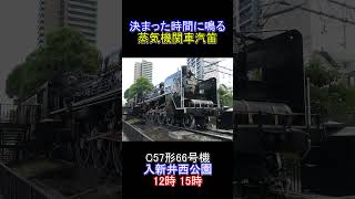 【SL汽笛】決まった時間に鳴る蒸気機関車汽笛 C57形66号機&C11形292号機 #sl汽笛 #蒸気機関車  #警笛 #steamlocomotive #c57 #c11