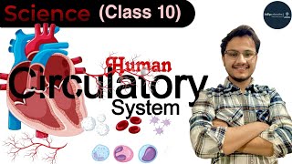 Human Circulatory System| परिसंचरण तंत्र|Science Class 10| Heart|NCERT/CBSE Board Exam|Last Month