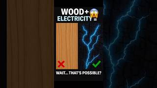 "Wood That Conducts Electricity?! ⚡🌲 #MindBlown" #facts