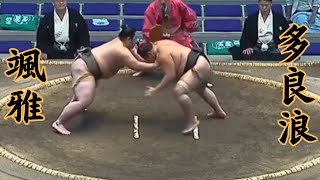 颯雅VS多良浪 令和7年7月場所10日目#sumo #相撲