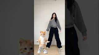 🐈💥 #MIMIIROSE #미미로즈 #ミミローズ #JIA #지아 #ジア