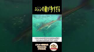 There are too many enemies! The herrings are targeted in all directions. [Fantastic Animals / Wak...