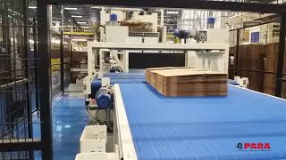 PARA PALLETIZER ELEVA IP50