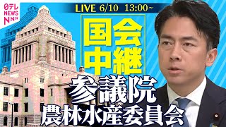 【国会中継】『参議院・農林水産委員会』 ──政治ニュースライブ［2025年6月10日午後］（日テレNEWS LIVE）