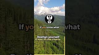 Realign yourself if you get lost in the charts