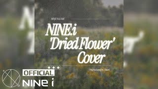[Cover] NINE.i 나인아이 - ‘Dried Flower’ Cover | Original song by. Yuuri