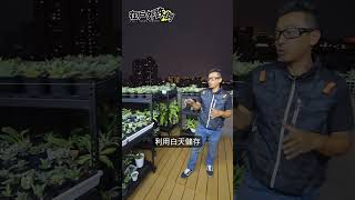 低單價型大樓儲能並網GROWATT SPH 6K高安規深循環儲能應用 #solarsystem  #solarenergy  #solar  #shorts