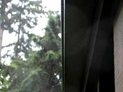 Seattle summer rain storm