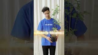 Safe our Planet. don't cut trees  .#EcoEarthSolutions#greenchoices #safeourplanet #ecorevolution