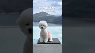 🚗전주에서 20분이면 가는 인생샷 카페!