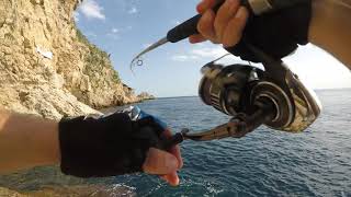 Daiwa BG MQ 8000 + Major Craft Solpara Spx 1002h