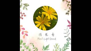 EP94 科西嘉 檸檬馬鞭草精油~精油的那些大小事