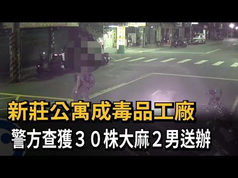 新莊公寓成毒品工廠  警方查獲30株大麻2男送辦－民視新聞