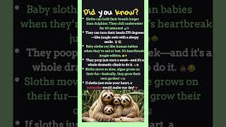 Adorably Weird Sloth Facts You’ve Never Heard! 🦥💚 #didyouknow #facts #animal #animalfacts #sloth