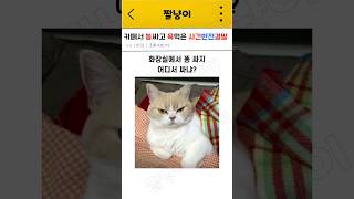 카페에서 똥싼 사건 반전결말 #웃긴영상 #웃긴짤 #유머 #짤 #재미 #재미있는 #카페 똥 #카페 대변