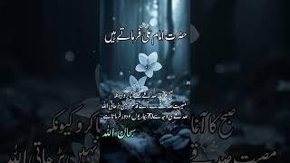 Suba Kaآغازsadka se|#urdu #motivation#beautiful#friday #shortsfeed#history#poetry #hazrataliquote