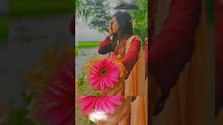 Ami Sudhu Cheyechi Tomai ( আমি শুধু চেয়েছি তোমাই ) I Lyrics Video Song (Lofi