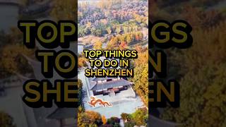 Top Things To Do In Shenzhen. #shorts #travel #adventure