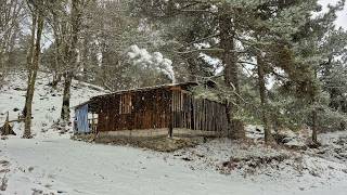 吹雪と激しい雨に見舞われた廃墟の丸太小屋の2025年最高の隠し動画