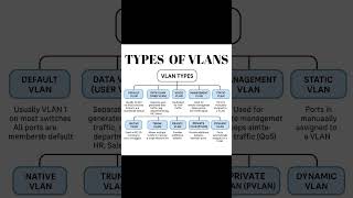 VLAN Types!!!📌🔥