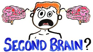 What If You Had A Second Brain?