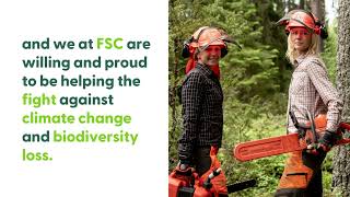 FSC Verified Impact: Holistic forest value through ecosystem services