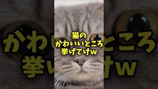【癒し】猫のかわいいところ挙げてけｗ【2ch面白いスレ】【ゆっくり解説】#shorts