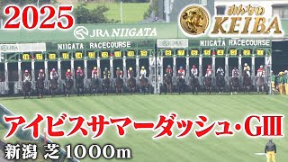【アイビスサマーダッシュ・GⅢ】アイビスSD 新潟 芝 1000m 2025 レース  【みんなのKEIBA】