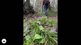 ドンデン山〜金北山縦走