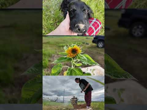 Пусть у вас всё будет окей 🌱