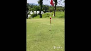 大衛營三桿洞，一桿差點進洞