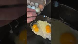 Eggcellent #eggs #shorts #eggcellent