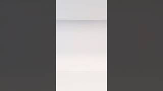 Cartoon Animation | #shorts #animationhacks #animation #tasktime #3d#2d #ChineseCartoon#Funny