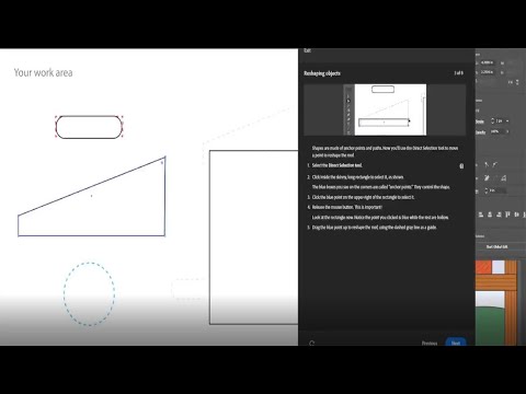 Adobe Illustrator 2023 Training Video 4