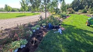 Planting New Plants for ‘25/‘26 & Harvesting Blackberries! 🌿💜🌿 // Garden Answer