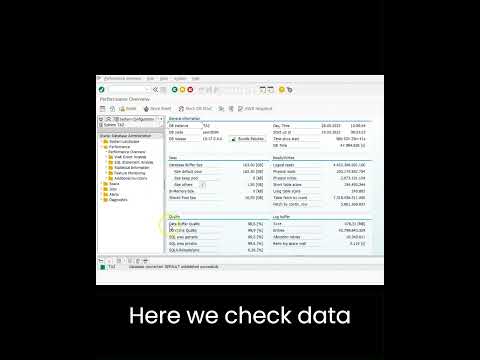 SAP Monitoring: Exploring ST04