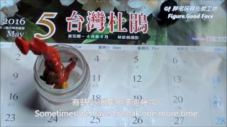 拆解美系可動人偶的方法示範(41秒)