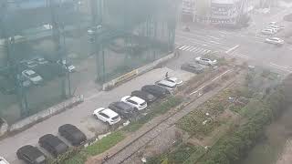 fog or smog?