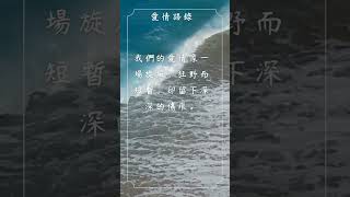 每日一句愛情語錄 浪漫愛情語錄分享 心動的愛情句子 愛的名言 EP 80 #shorts #愛的名言 #自我治癒 #傷感語錄 #感情語錄