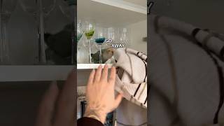 Prince’s last victory of 2024 #funnyanimals #birds #parrot #lovebird #funnypets #tiktok #cutepets