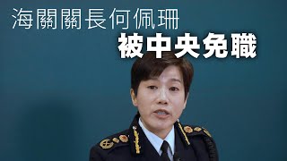 【海關易帥1D】海關關長何佩珊「被炒魷」之謎！01/01/2025