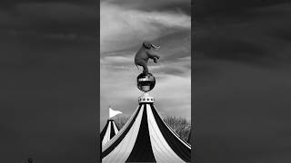 A magical circus appears without warning… but it hides a deadly secret.