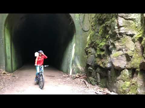 #Tunnel hill state park, #Illinois
